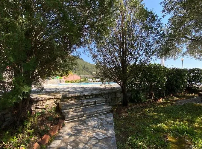 Chrysoula