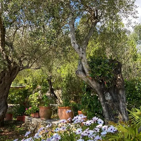 Chrysoula Villa
