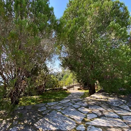 Villa Chrysoula Kalami (Corfu)