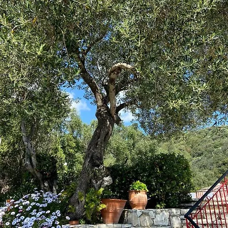 Villa Chrysoula Kalami (Corfu)