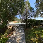 Chrysoula
